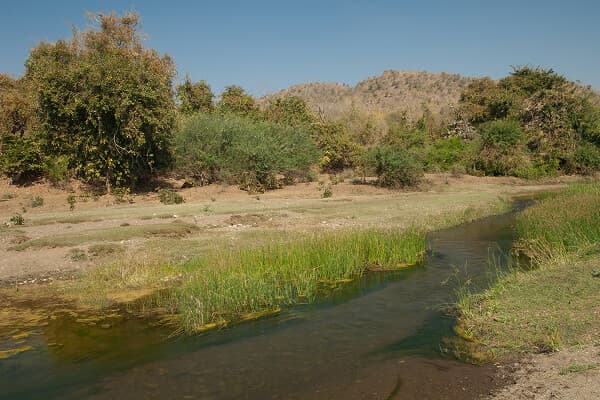 Biodiversity Policy
